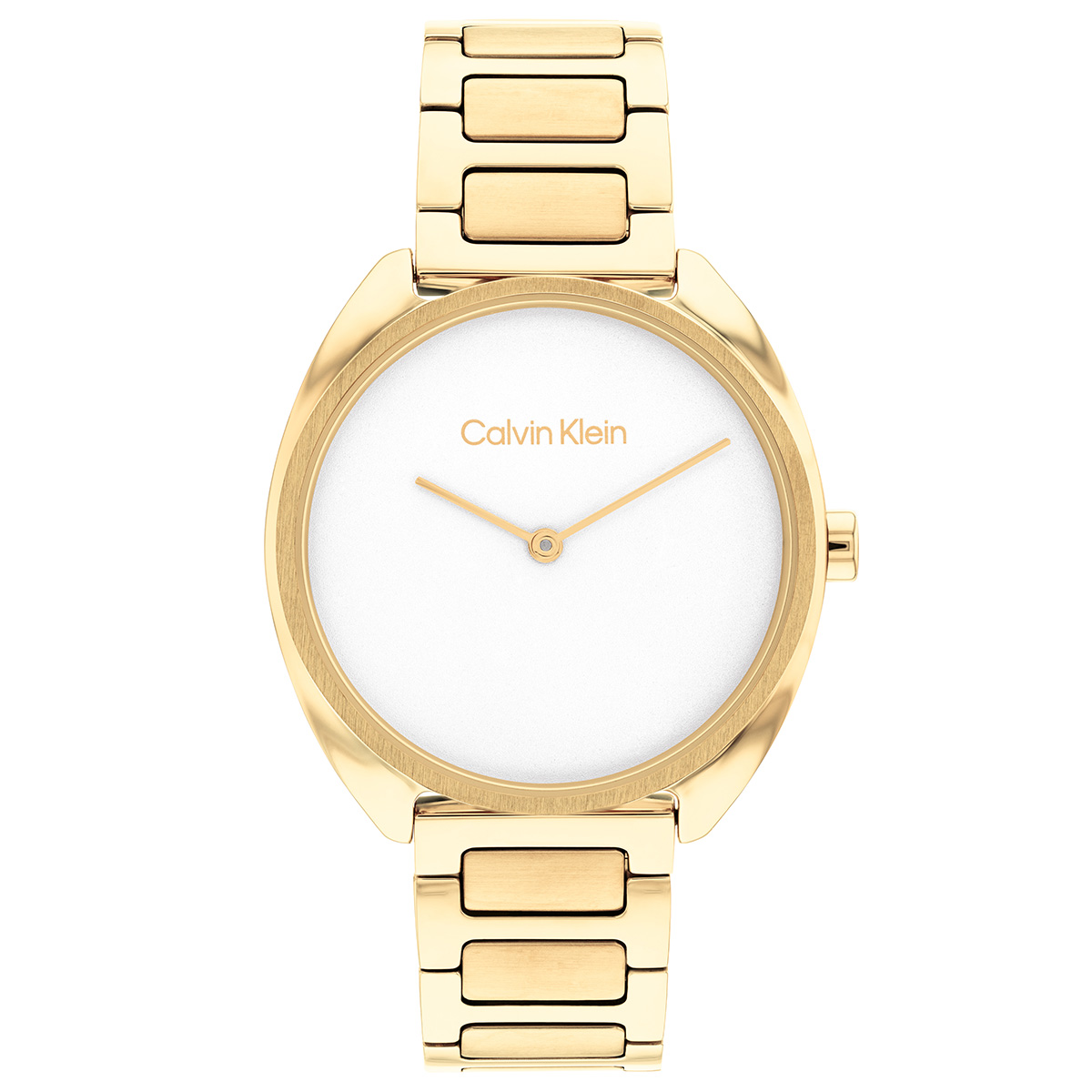 Calvin Klein CK25200276 Kadin Kol Saati